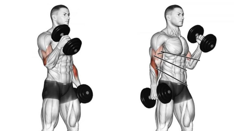 curl martillo biceps
